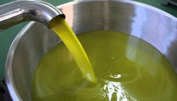 1480670684-0-aristoil-un-progetto-per-la-promozione-dell-olio-d-oliva