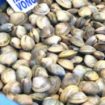 vongole3