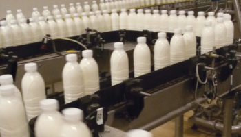 produzione-latte