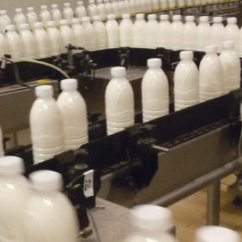 produzione-latte