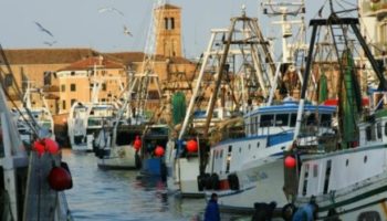 pescherecci chioggia