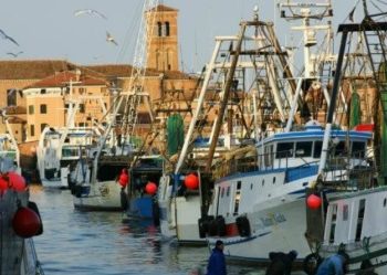 pescherecci chioggia