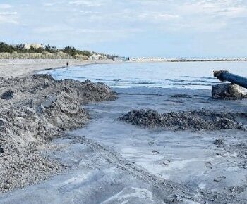 ripascimento isola verde da nuova venezia