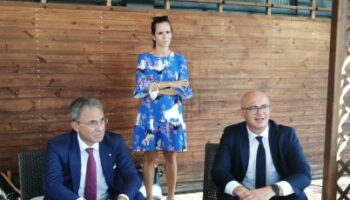 erika baldin ministri costa dinca