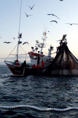pesca__1452369861_151.51.119.144
