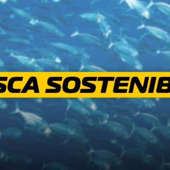 pesca sostenibile – blog