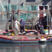 Chioggia-pescatori