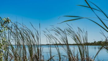 the-tampa-bay-estuary-program-VSuxT026NqM-unsplash