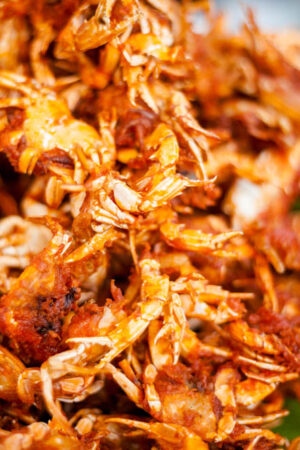 moeche-fritte