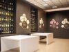 MUSEO DEL VINO, NON C’È SOLO VERONA: LA REGIONE VALORIZZI ANCHE I COLLI EUGANEI E VALDOBBIADENE. IL CONSIGLIO APPROVA IL MIO EMENDAMENTO