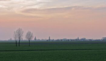 campagnaveneta-650×420