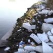 plastic