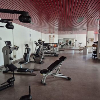 508011923_1272970267528175_4822302810199809786_n