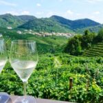 LA COLTIVAZIONE ESTENSIVA DI PROSECCO STA AUMENTANDO IL VOLUME DEI PESTICIDI NOCIVI ALLA SALUTE. LA REGIONE PONGA LIMITI E INDIRIZZI I REGOLAMENTI COMUNALI
