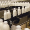 produzione-latte