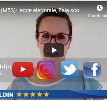 miniatura erika baldin legge elettorale