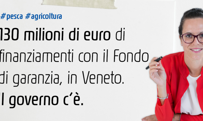 erika fondo garanzia