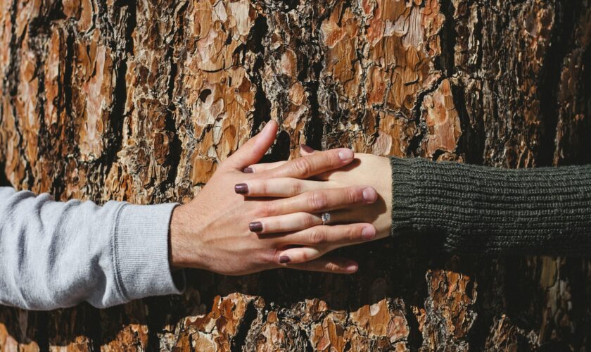 jeremy-bishop-vyiDIiYELlE-unsplash