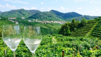 BICCHIERI_PROSECCO_VALDOBBIADENE_23_01